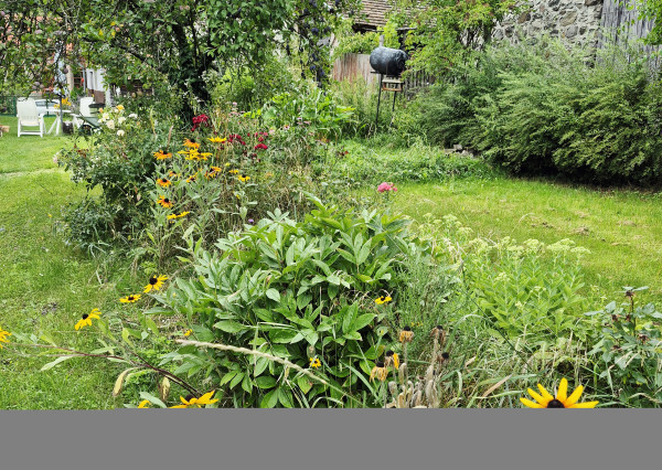 Gazdovský dom s výhľadom na hrad Füzér – 3400 m2 pozemok v objatí prírody