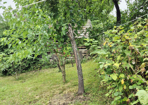 Gazdovský dom s výhľadom na hrad Füzér – 3400 m2 pozemok v objatí prírody