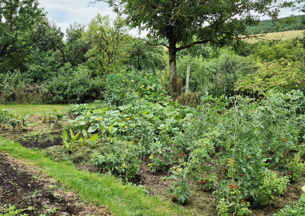 Gazdovský dom s výhľadom na hrad Füzér – 3400 m2 pozemok v objatí prírody