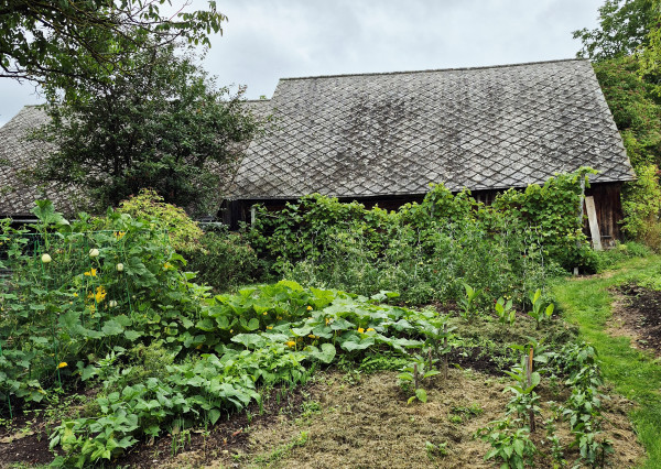 Gazdovský dom s výhľadom na hrad Füzér – 3400 m2 pozemok v objatí prírody