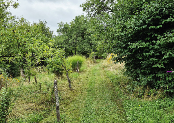 Gazdovský dom s výhľadom na hrad Füzér – 3400 m2 pozemok v objatí prírody