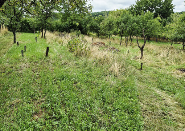 Gazdovský dom s výhľadom na hrad Füzér – 3400 m2 pozemok v objatí prírody