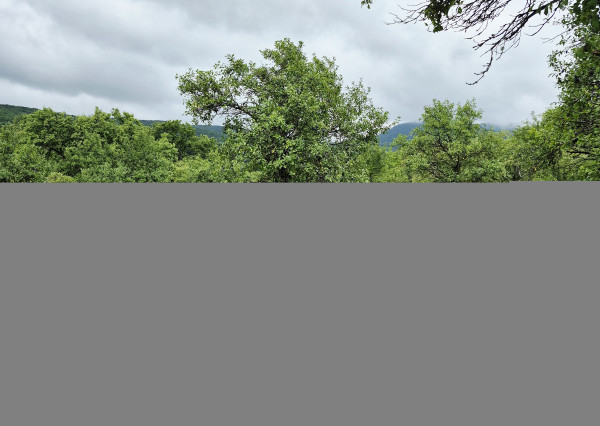 Gazdovský dom s výhľadom na hrad Füzér – 3400 m2 pozemok v objatí prírody