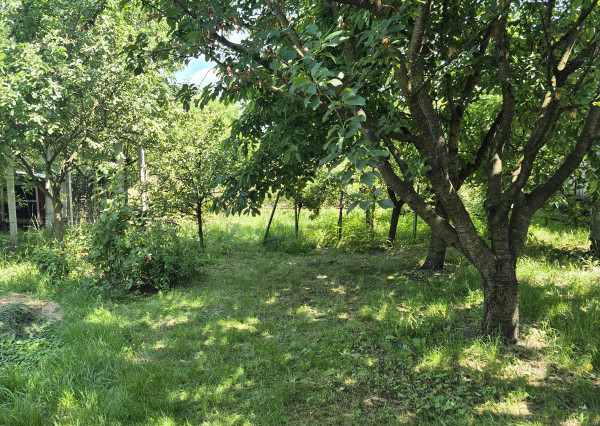 ZREKONŠTRUOVANÝ, GAZDOVSKÝ DOM S GÁNKOM v Méra, Maďarsko