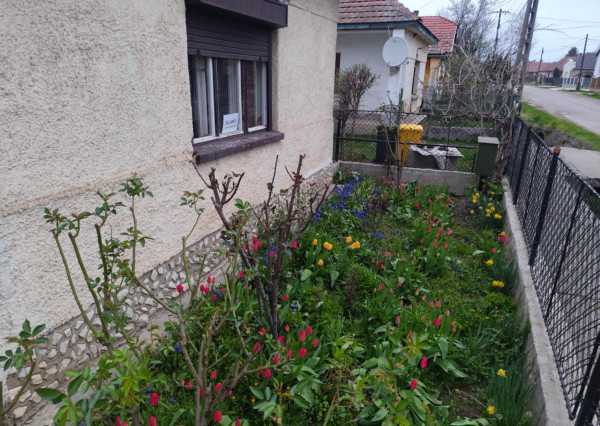 DOM S OBYTNOU ČASŤOU + PRIESTOR NA DROBNÉ PODNIKANIE V MÉRA