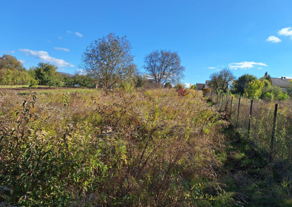 Lacný dom s veľkým, rovným pozemkom vo Vilmány