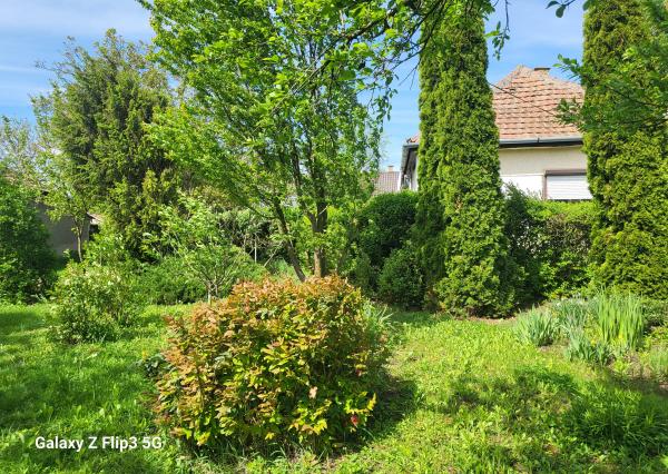 Úžasná záhrada, dobrá lokalita, menší dom v MÉRA