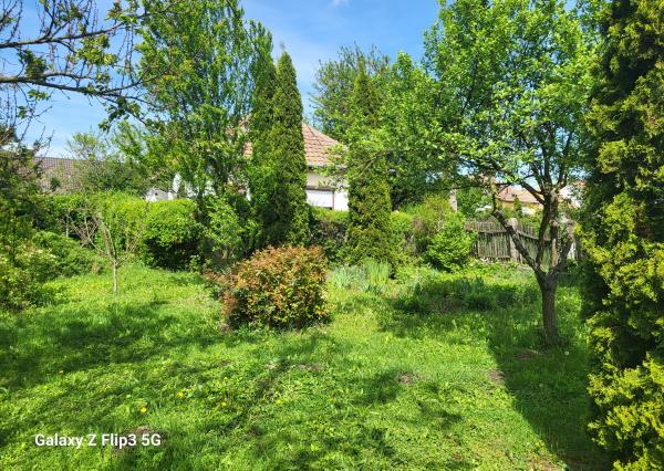 Úžasná záhrada, dobrá lokalita, menší dom v MÉRA