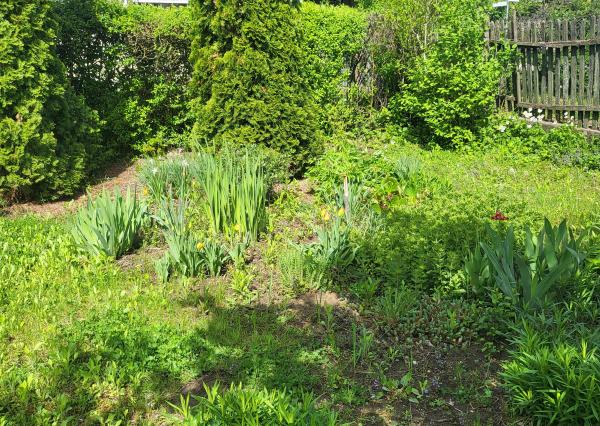 Úžasná záhrada, dobrá lokalita, menší dom v MÉRA