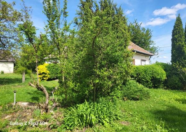 Úžasná záhrada, dobrá lokalita, menší dom v MÉRA