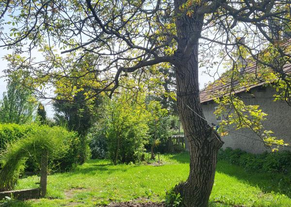 Úžasná záhrada, dobrá lokalita, menší dom v MÉRA