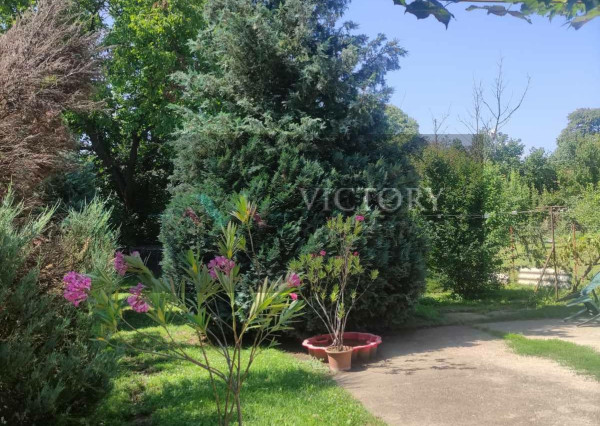 Pekný 5-izbový rodinný dom v Encs