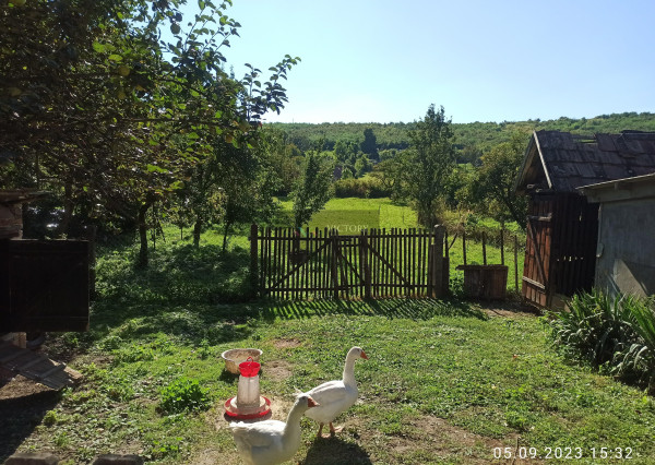 CHALUPA/DOM S VEĽKÝM POZEMKOM – SZALASZEND (IBA 40 MIN. OD KOŠÍC)