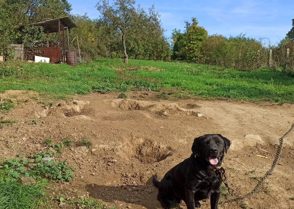 DOBRÝ DOM NA BÝVANIE V HERNÁDVÉCSE