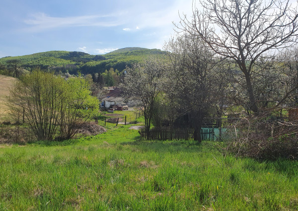 REZERVOVANÝ- EXKLUZÍVNE LEN PRE NÁROČNÝCH HOLLÓHÁZA