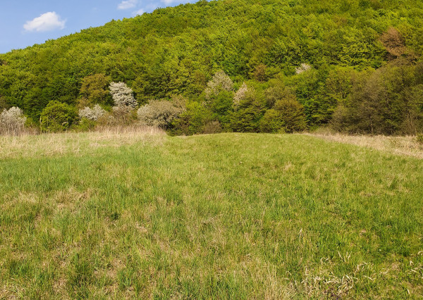 REZERVOVANÝ- EXKLUZÍVNE LEN PRE NÁROČNÝCH HOLLÓHÁZA