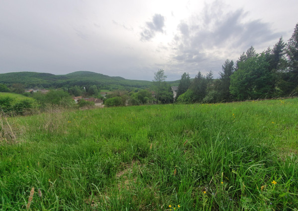 REZERVOVANÝ- EXKLUZÍVNE LEN PRE NÁROČNÝCH HOLLÓHÁZA