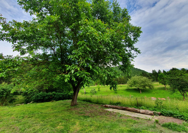 REZERVOVANÝ- EXKLUZÍVNE LEN PRE NÁROČNÝCH HOLLÓHÁZA