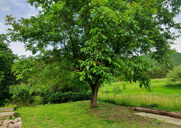 REZERVOVANÝ- EXKLUZÍVNE LEN PRE NÁROČNÝCH HOLLÓHÁZA