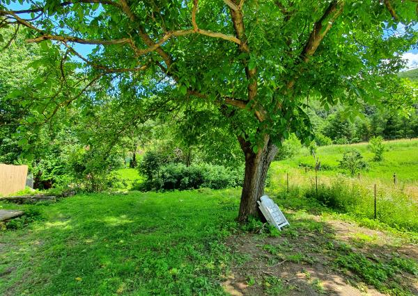 REZERVOVANÝ- EXKLUZÍVNE LEN PRE NÁROČNÝCH HOLLÓHÁZA