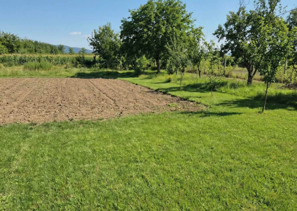 RD v Méra, na peknom pozemku s potenciálom