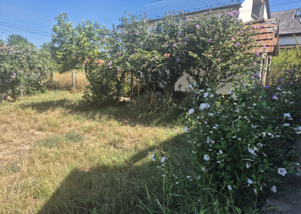 🌿 Malý dom, veľký pokoj. Vaša chalupa kúsok za hranicou. - fotografia 12
