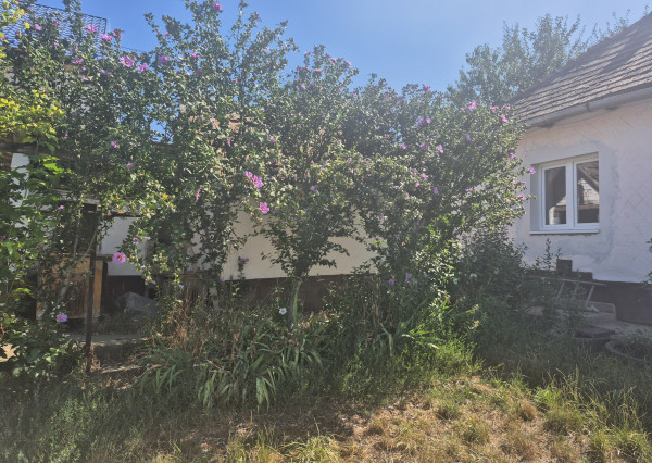🌿 Malý dom, veľký pokoj. Vaša chalupa kúsok za hranicou. - fotografia 15