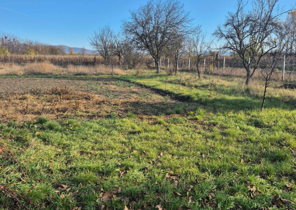RD v Méra, na peknom pozemku