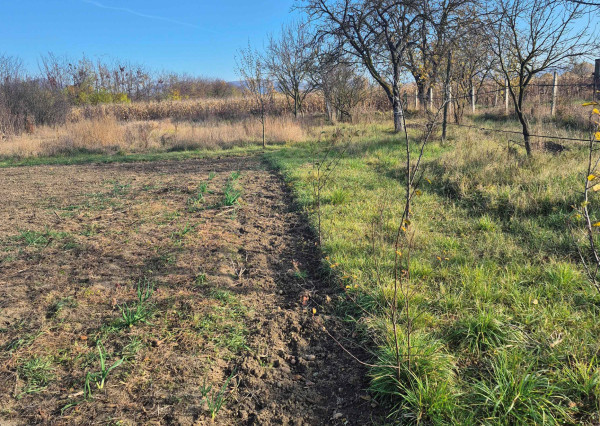 RD v Méra, na peknom pozemku