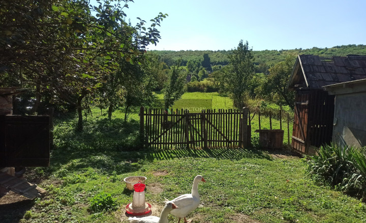CHALUPA/DOM S VEĽKÝM POZEMKOM – SZALASZEND (IBA 40 MIN. OD KOŠÍC) - fotografia 10