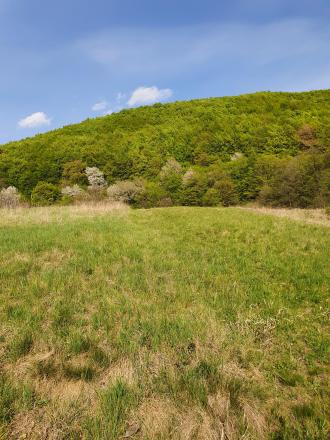 REZERVOVANÝ- EXKLUZÍVNE LEN PRE NÁROČNÝCH HOLLÓHÁZA - fotografia 17