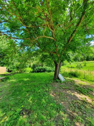 REZERVOVANÝ- EXKLUZÍVNE LEN PRE NÁROČNÝCH HOLLÓHÁZA - fotografia 30