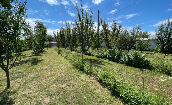 Stavebný pozemok 2 km od SR hranice – Tornyosnémeti (HU) - fotografia 5