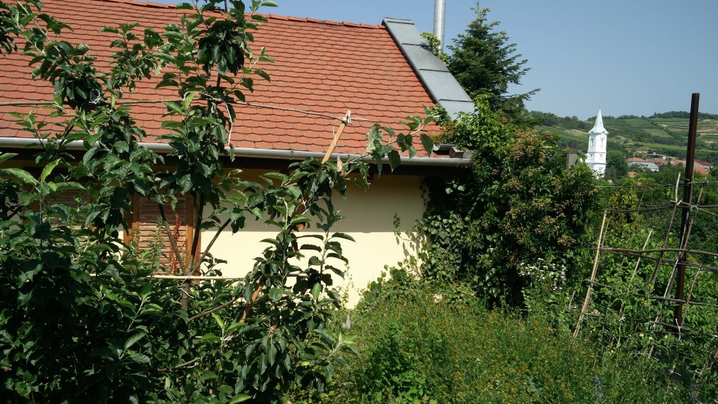 Bývanie a podnikanie v unikátnej vinárskej obci Mád