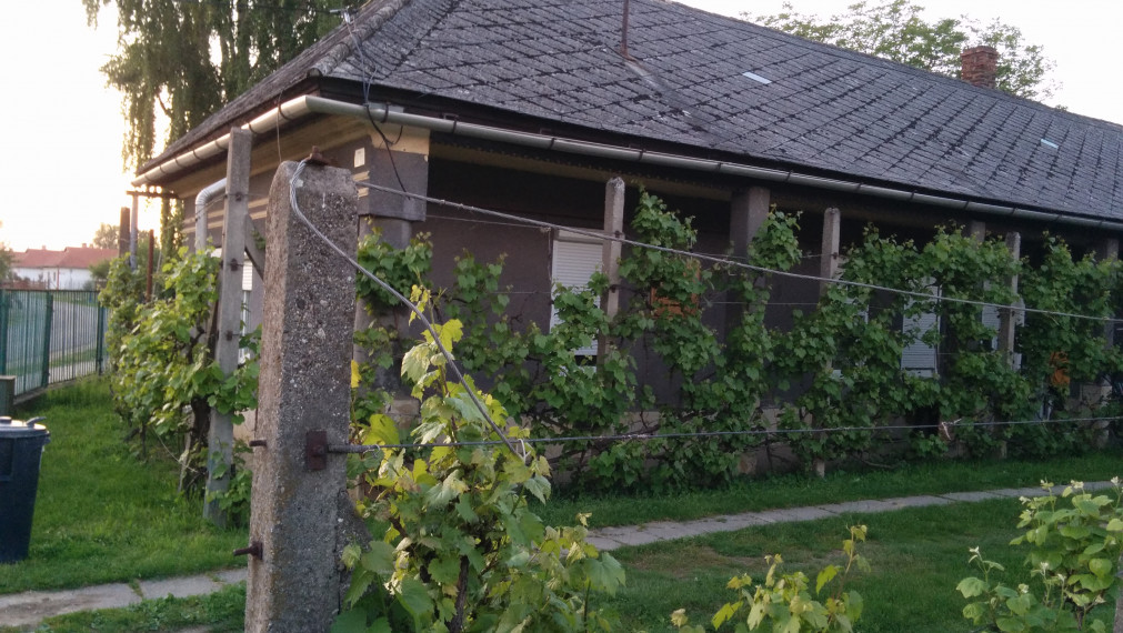 REZERVOVANÝ - Gazdovský dom s ideálnym pozemkom v Hidasnémeti