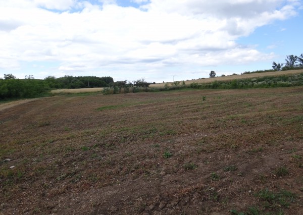 STAVEBNÝ POZEMOK 4500 m2 na KONCI OBCE v GARADNA - Maďarsko