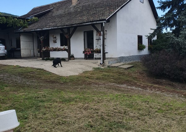 DOMČEK, VINICA, SADY 1,9 ha so zariadením, na úpätí TOKAJA (Sárospatak)