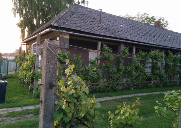 Gazdovský dom s ideálnym pozemkom v Hidasnémeti